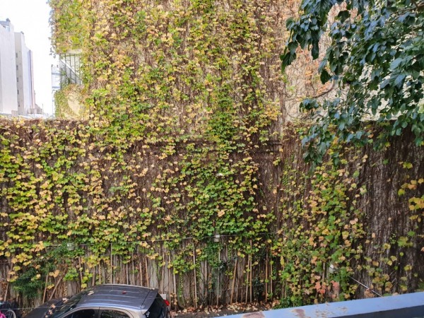 Ideal y Amplio Semipiso de 3 Ambientes con 2 Baños Completos y Amplio Patio