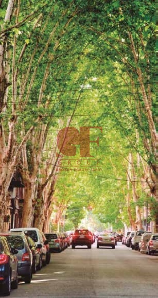 En el lado verde de Belgrano.  Proyecto joven en un barrio consolidado.