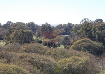 LUJO!! Piso con vista a los lagos de Palermo